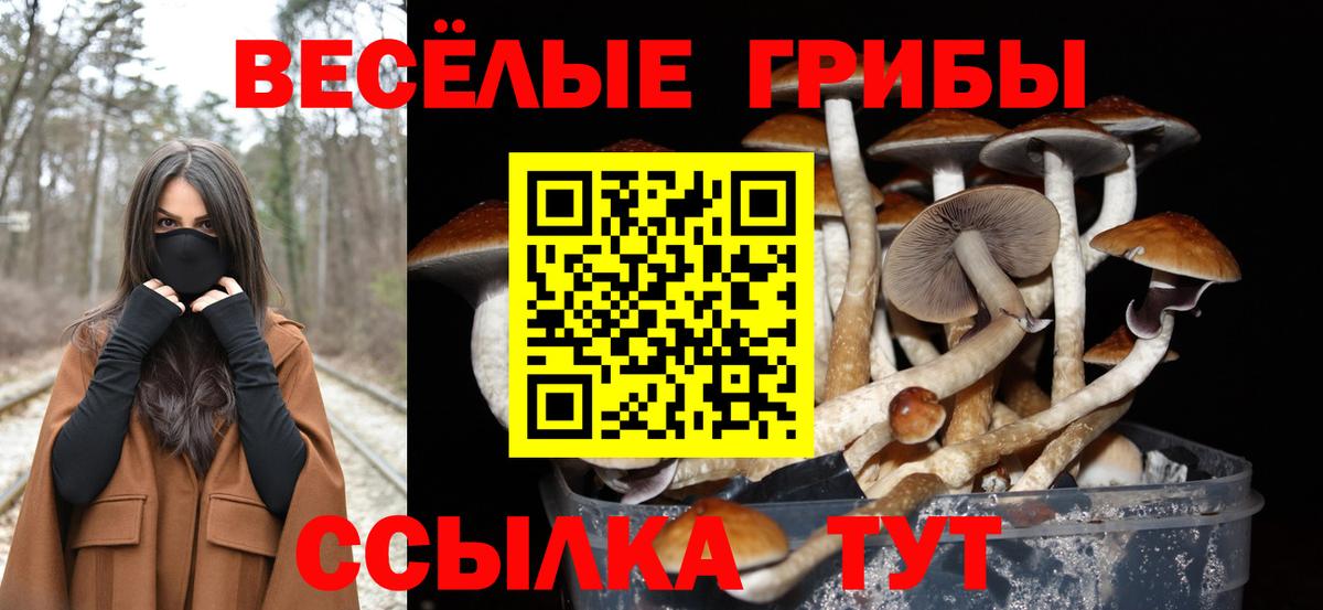 Галлюциногенные грибы мицелий  Вход с VPN  Братск 